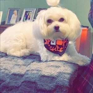 Meet your Posher, Lynn